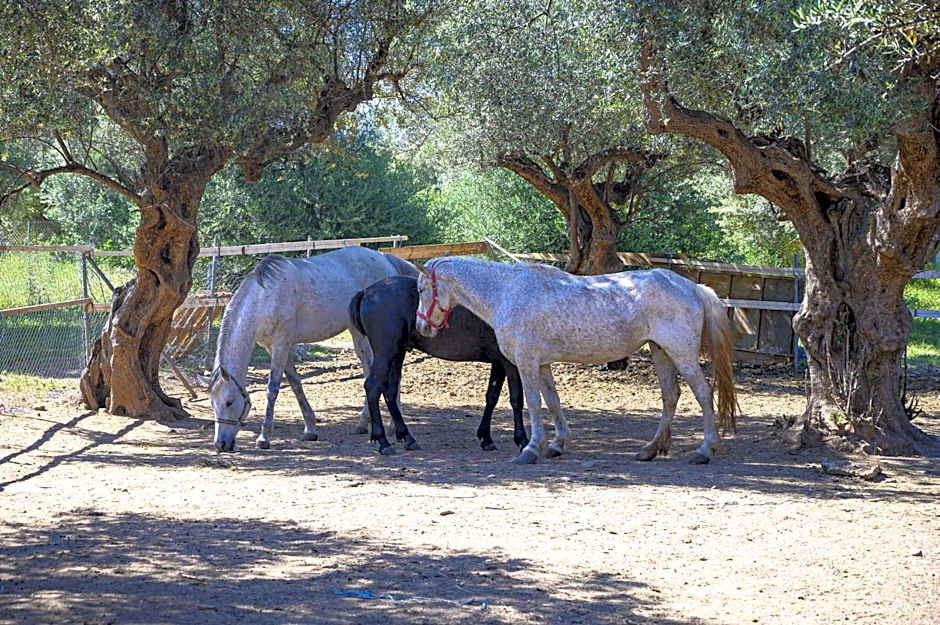 Semantron Traditional Village