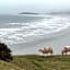 Wynberg House Bed & Breakfast Swansea
