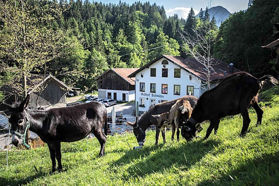 Gasthof Fallmühle