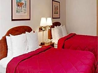1 Bedroom Suite