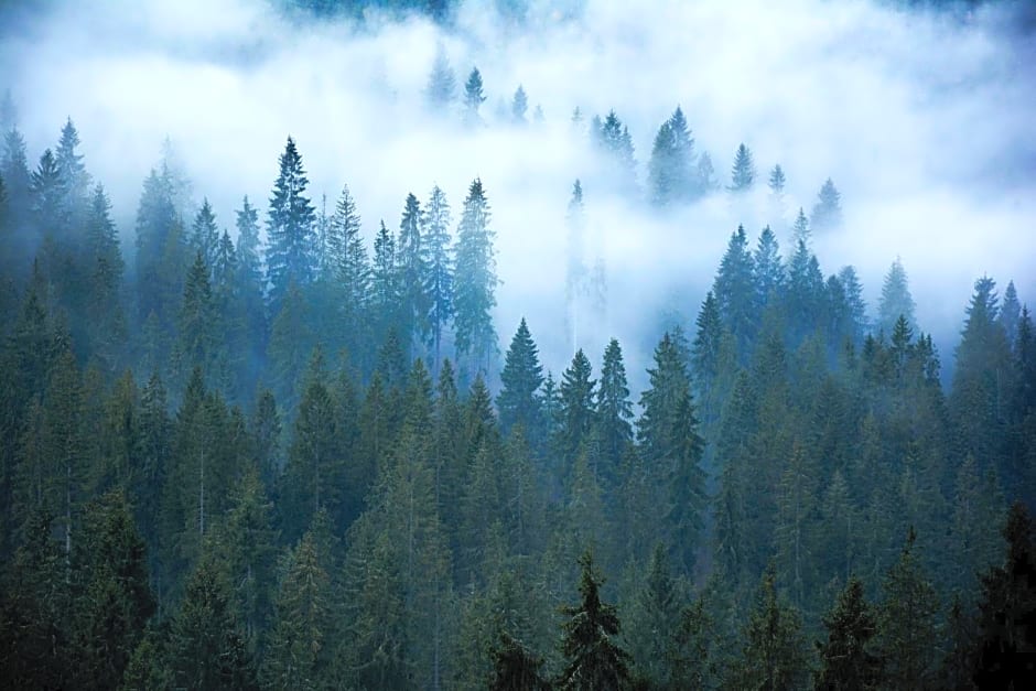 Górski Ośrodek Jeździecki - Śniadania - Termy