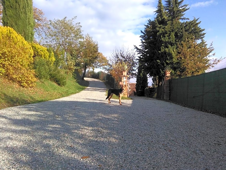 Calmancino delle Selve