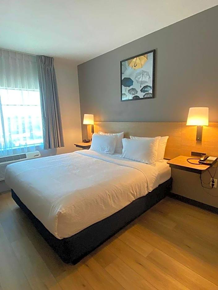 City Express by Marriott Spring