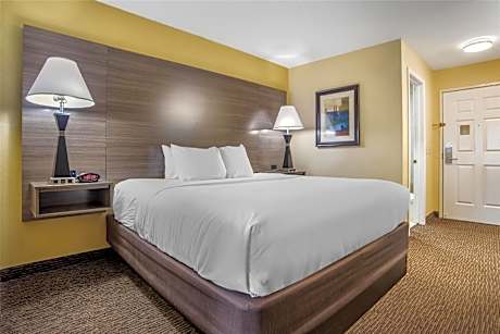 Suite - 1 King Bed, Nonsmoking, Sofabed