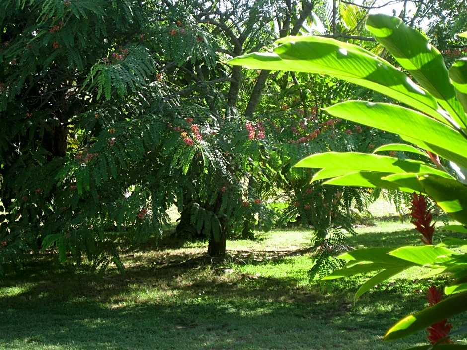 Magnetic Island Bed and Breakfast