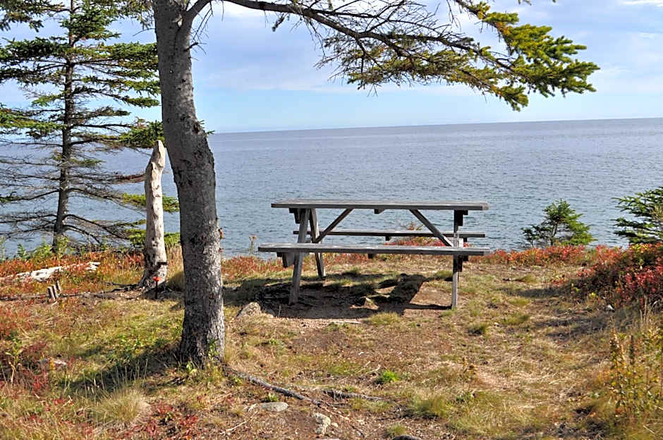 The Sleeping Moose Cottage