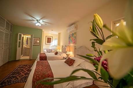 Superior Deluxe Double or Twin Room