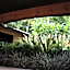 Bila Vista Kirra Beachside Apartments
