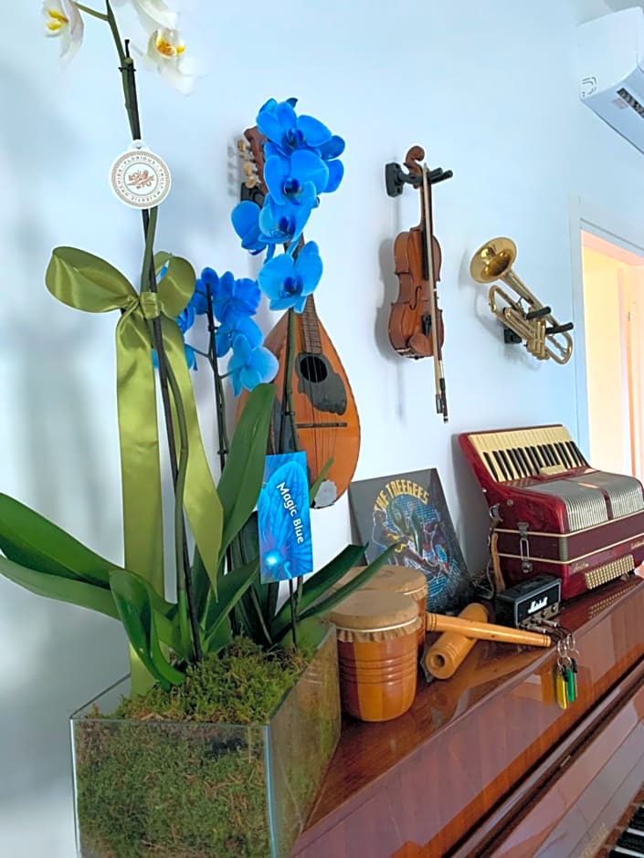 Music House Palinuro