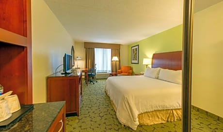 1 King Accessible Room with Bathtub