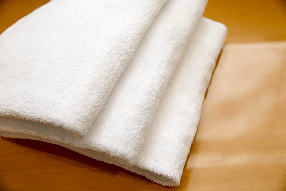 Saga Idaimae Green Hotel