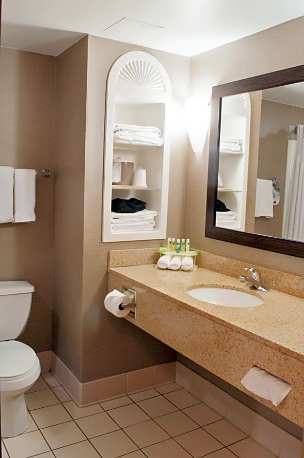 Holiday Inn Express Hotel & Suites Pittsburgh-South Side By IHG
