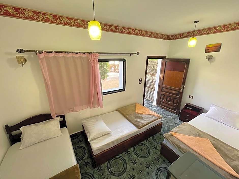 Oasis Fighting Kangaroo