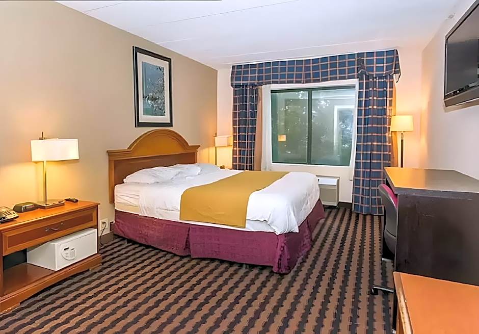 Photo 1 of 4 of Standard 1 King Bed