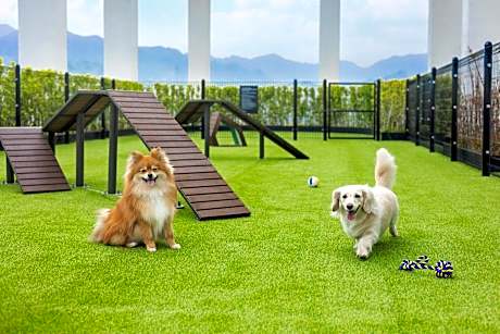 Superior Twin – Pet Friendly