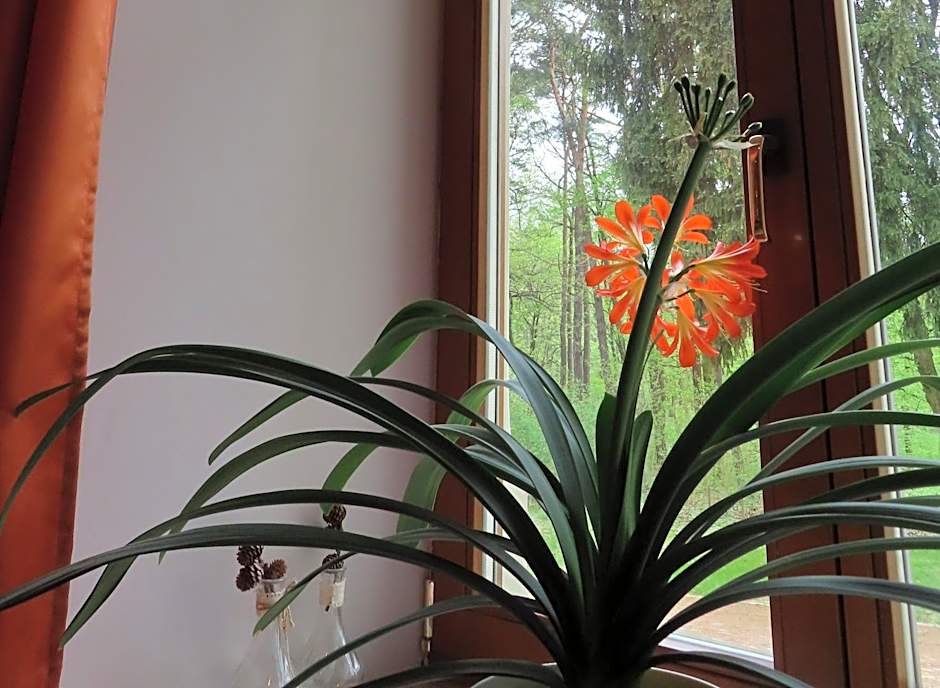 Dobry Zakątek Dom Rekolekcyjny