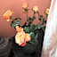 Riad Maison 24