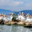 Nimue Marina Residence