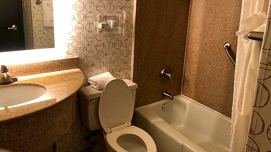Holiday Inn Asheville East-Blue Ridge PKWY