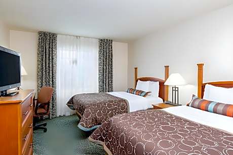 2 King 2 Bedroom Suite Communications Accessible Roll Shower