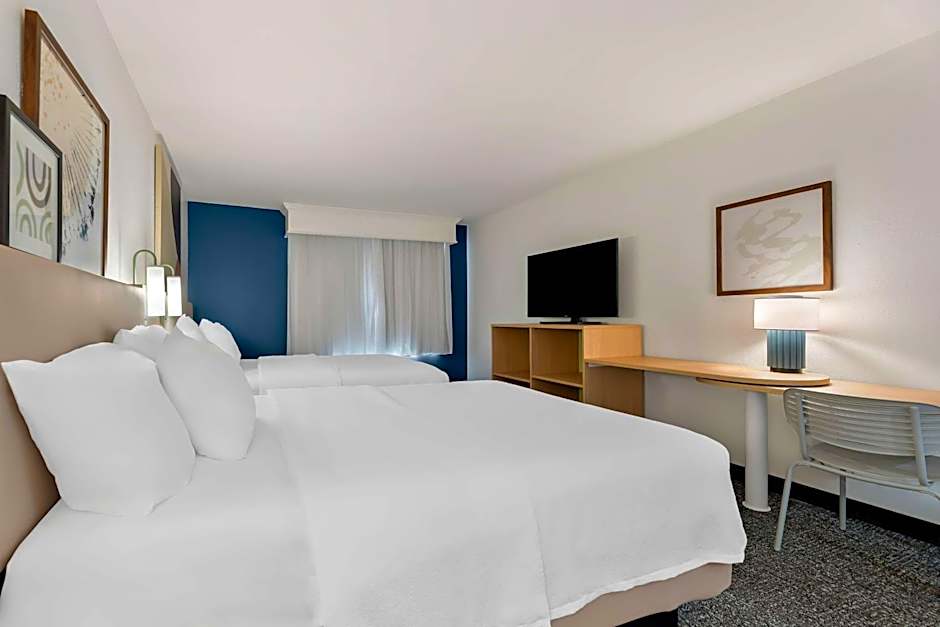 Spark by Hilton Tupelo