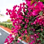 Anaheim Express Inn