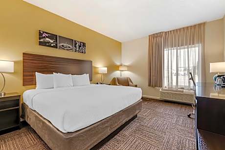 1 King Bed Nonsmoking