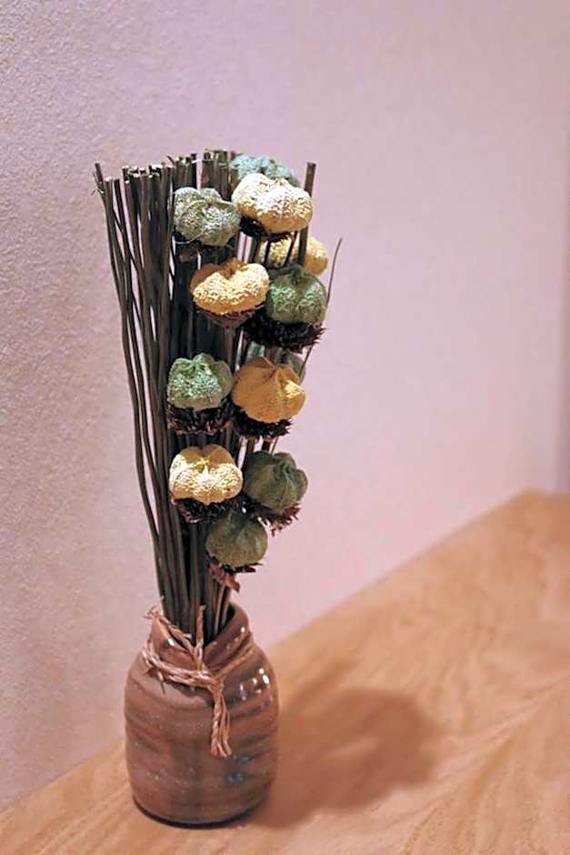 Villa Tolnay Vendégház