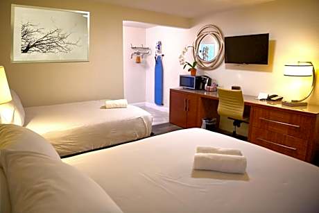 Studio Suite with Two Double Beds - Non-Smoking