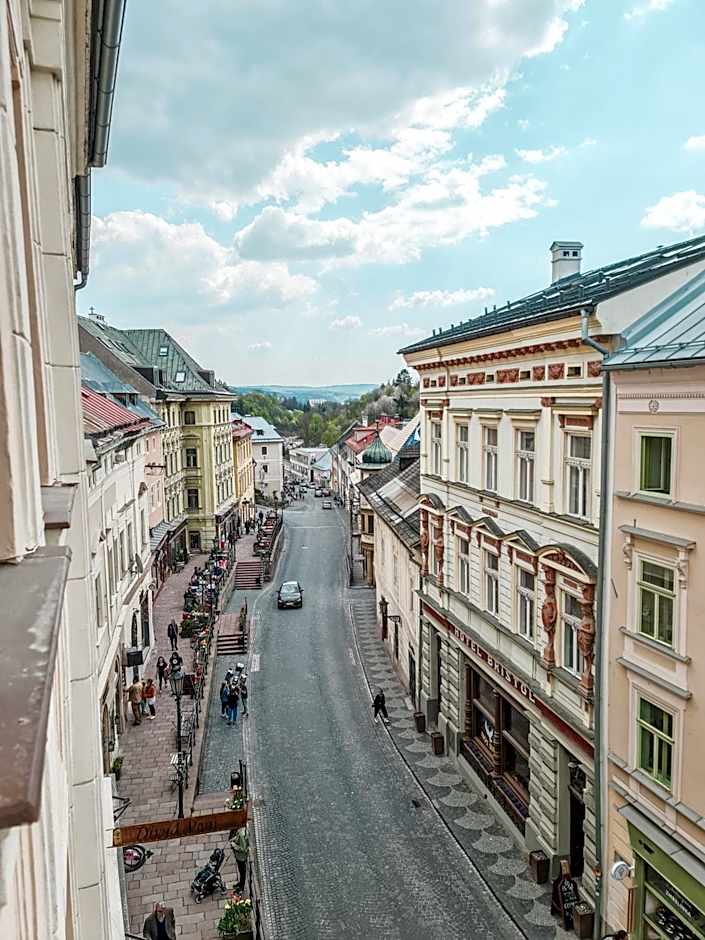 Divná pani Luxury Gallery Rooms