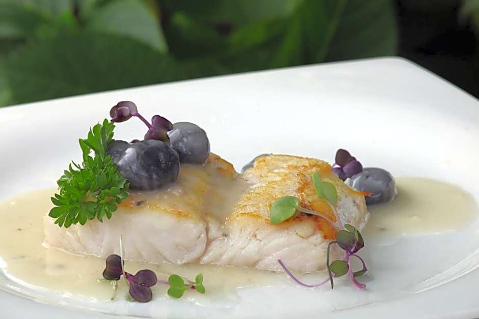 La Quinta de los Cedros