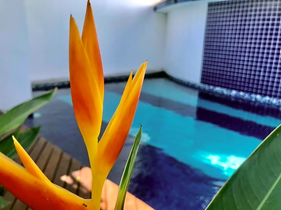 Recanto das Andorinhas Studios