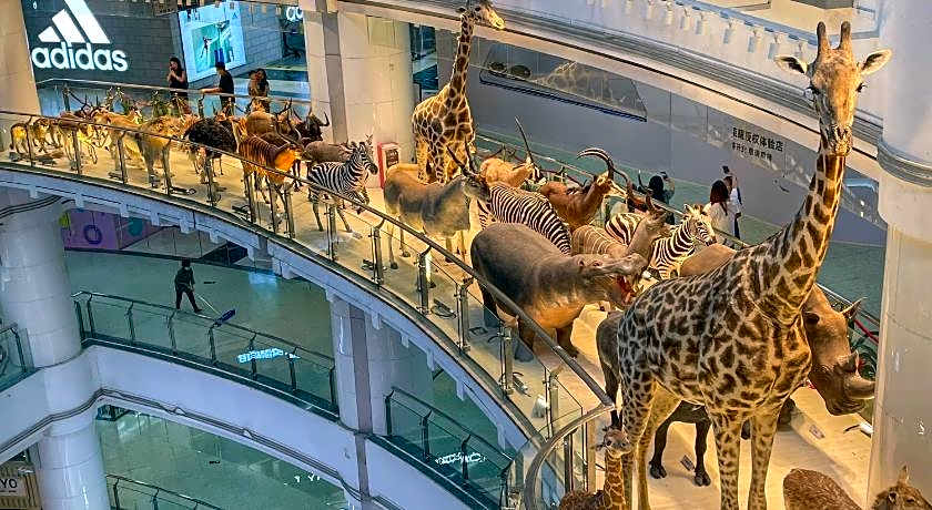 Oakwood Premier Guangzhou