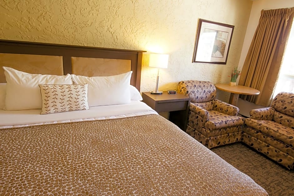 Crystal Springs Motel