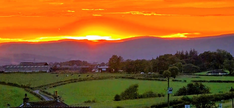 The Green Monkey Lux Suite at The Grumpy Schnauzer B&B Private Hot Tub, Gym, Breakfast, Stunning!