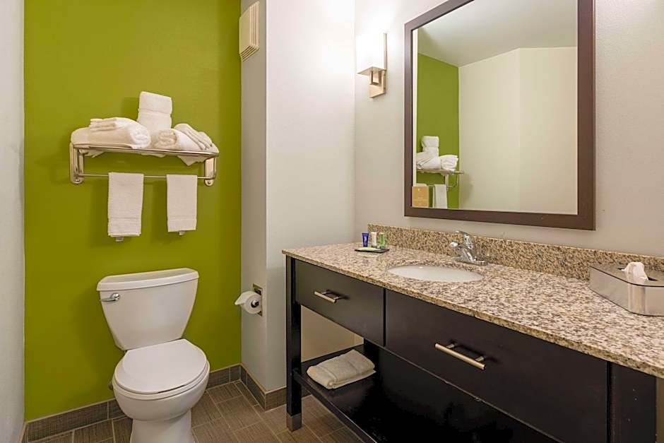 Photo 1 of 5 of 1 King Bed Suite