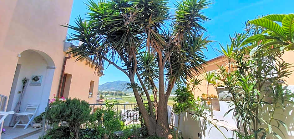 B&B Villa Orchidea