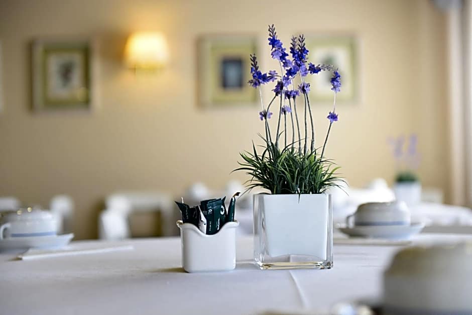 Hotel Apartamento Solverde