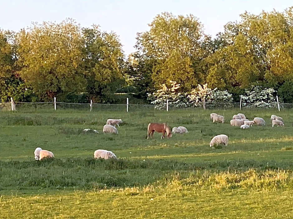 Gästehaus Windflüchter