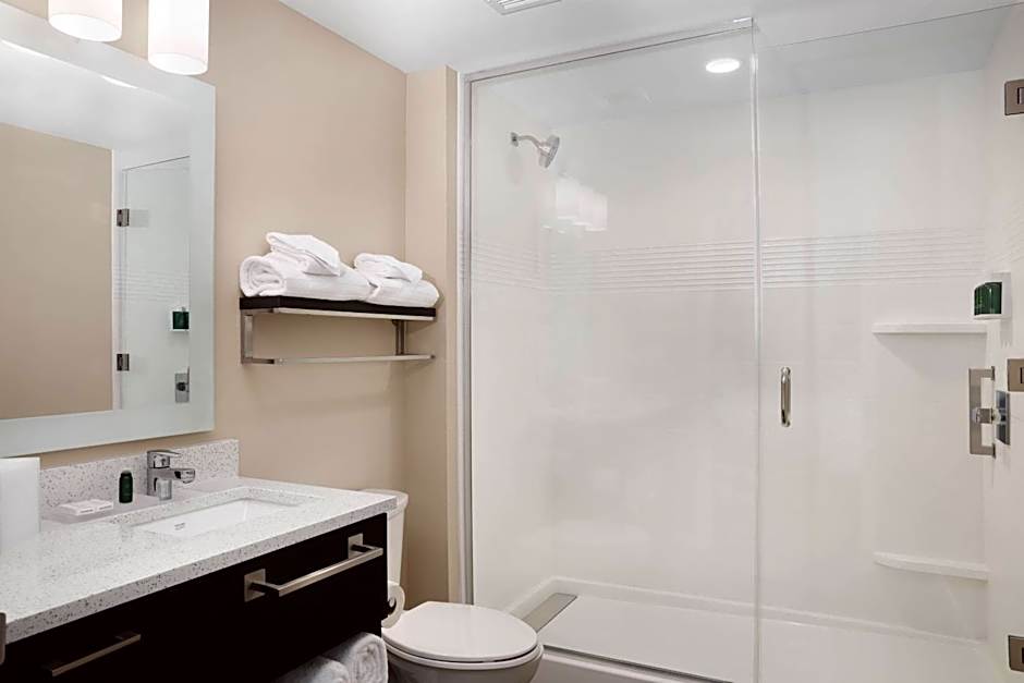 TownePlace Suites by Marriott Orlando Theme Parks/Lake Buena Vista