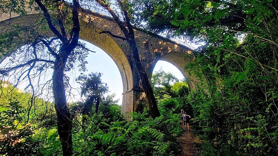 The Frogs House - Yoga Retreat