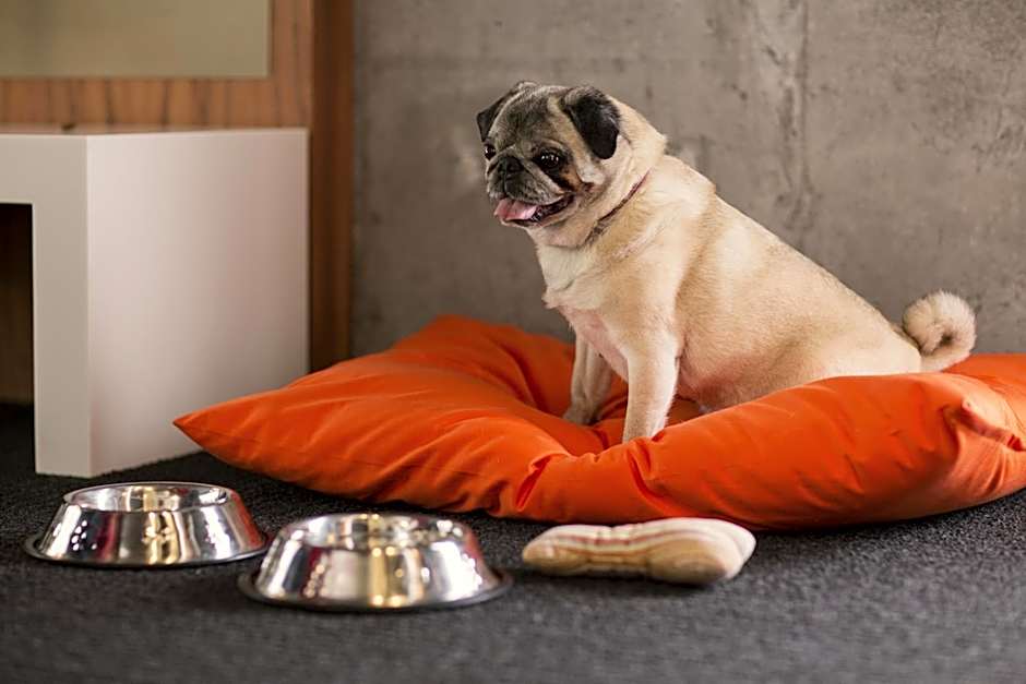 Alt Hotel Quartier Dix30