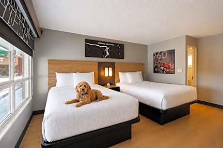 Standard Queen Room with Two Queen Beds - Pet Friendly