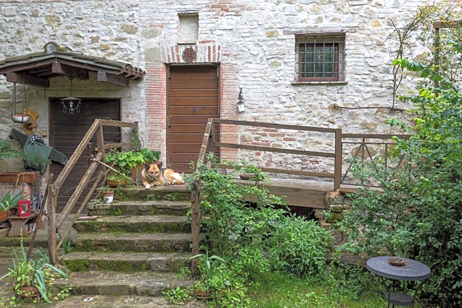 Agriturismo Il Poggio degli Scoiattoli