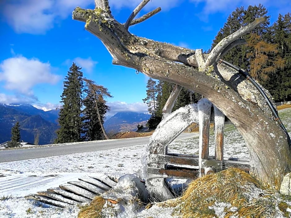 Bergchalet Kaunergrat