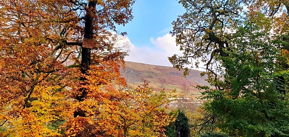 The Miners Log Cabin