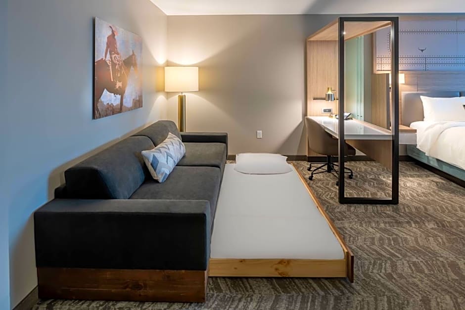 SpringHill Suites by Marriott Fort Worth Historic Stockyards