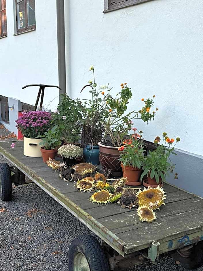 STF Landskrona Hostel