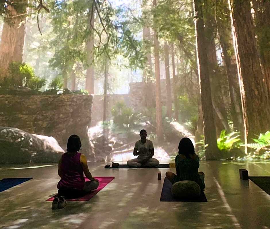 Hotel La Casa de los Árboles Immersive Experience