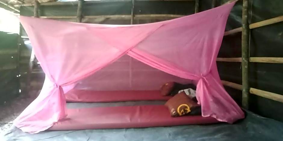 Umiyuki jungle tour only treking with us